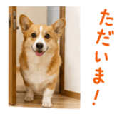 857321445