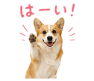 857321446