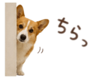 857321447