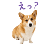 857321448