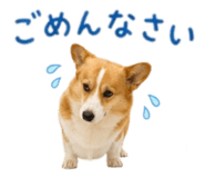857321450