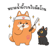 857327203