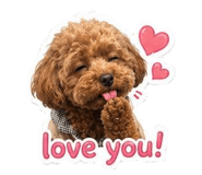 857327432