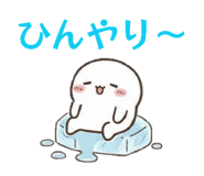 857337002