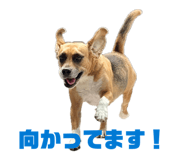 857337664