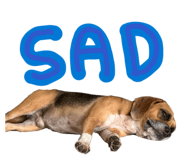 857337665