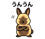 857344724