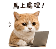 857345045