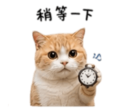 857345049