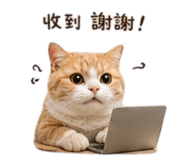 857345054