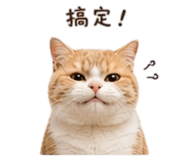 857345055