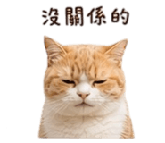 857345058