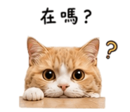 857345060