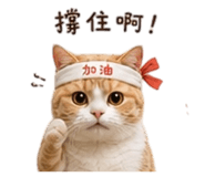 857345068