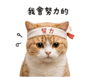 857345070