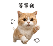 857345076