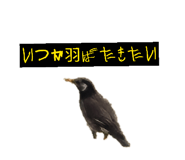 857346813