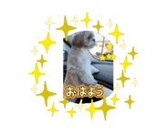 857347977