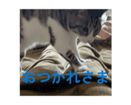 857362001