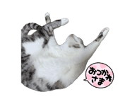 857362002