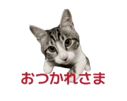857362003