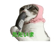857362010