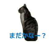 857362014