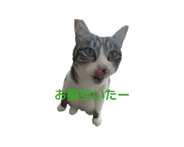 857362015