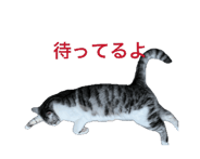 857362016