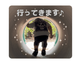 857364788