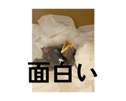 857367502