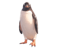 857369221