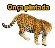 857369228