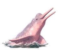 857369231