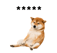 857376385