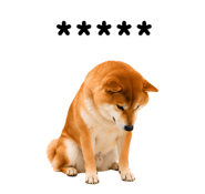 857376388