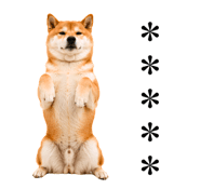 857376390