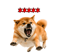 857376392
