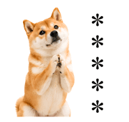 857376393