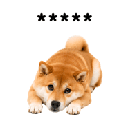 857376394