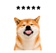 857376396