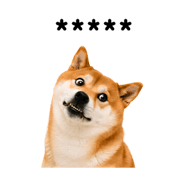 857376397