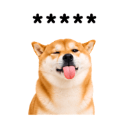 857376400