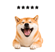 857376403