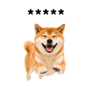 857376406