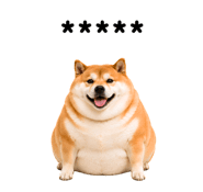 857376407