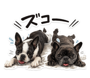 857391031