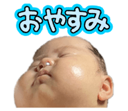 857391536