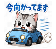 857404488