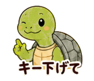 857405138